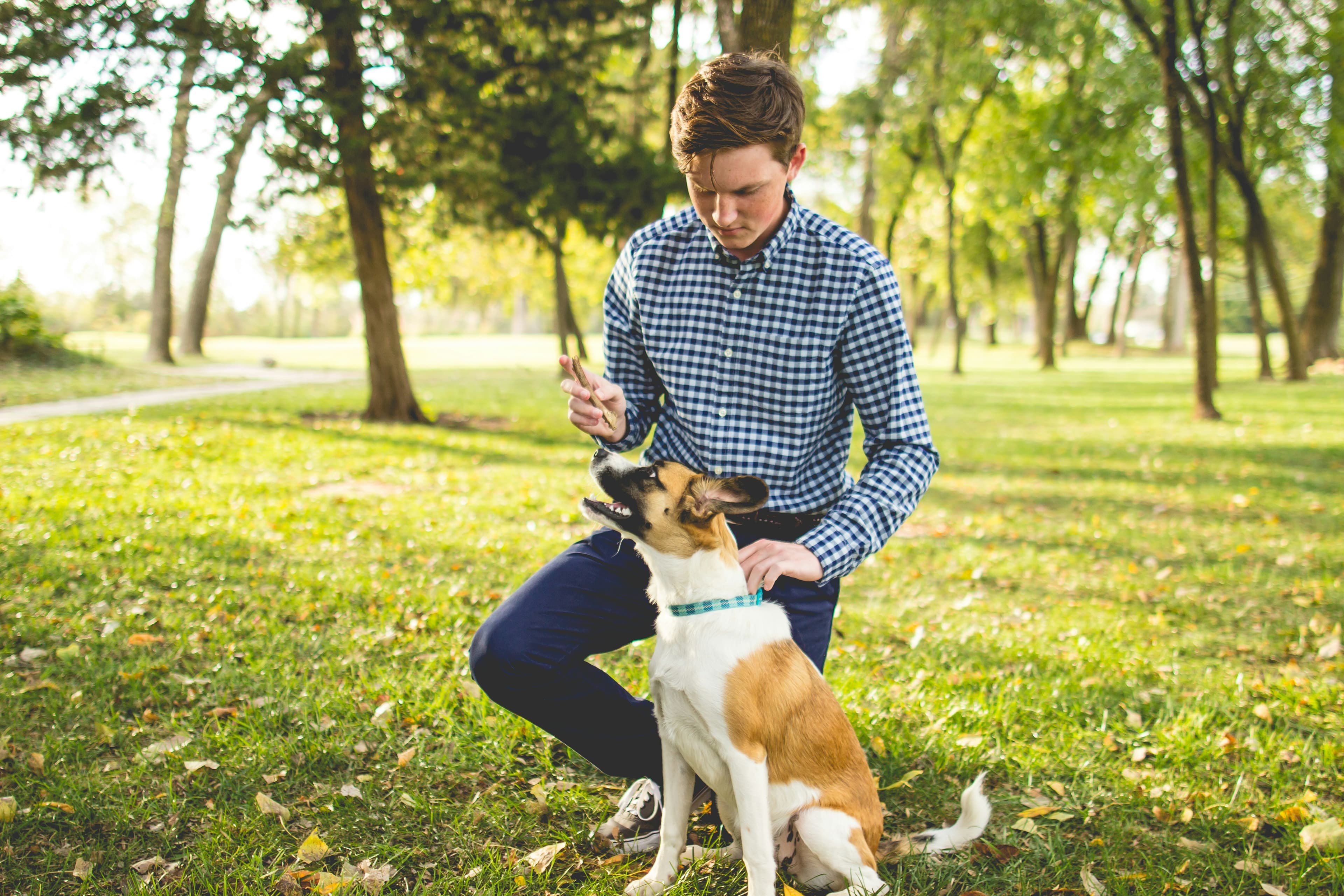 Hundetrainer mit Hund